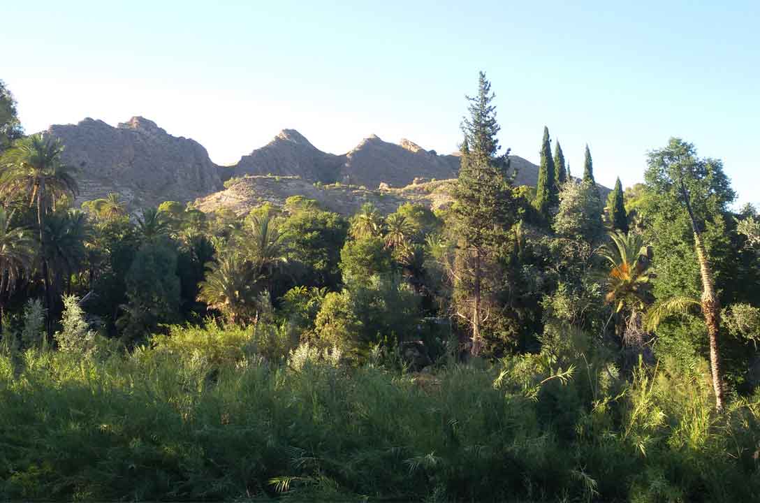 Casa Rural El Amparo